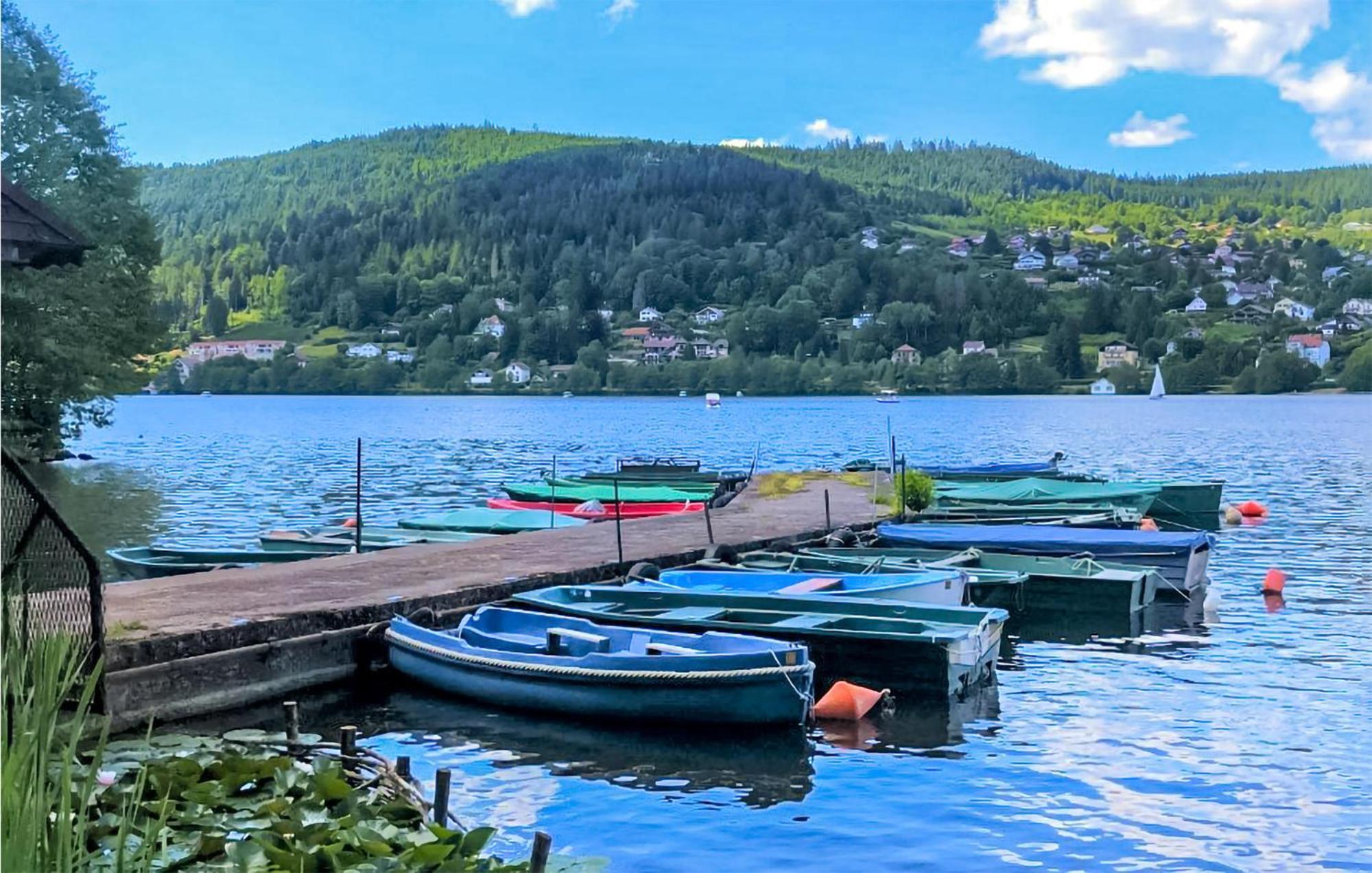 Gorgeous Apartment In Gerardmer With Kitchen ภายนอก รูปภาพ