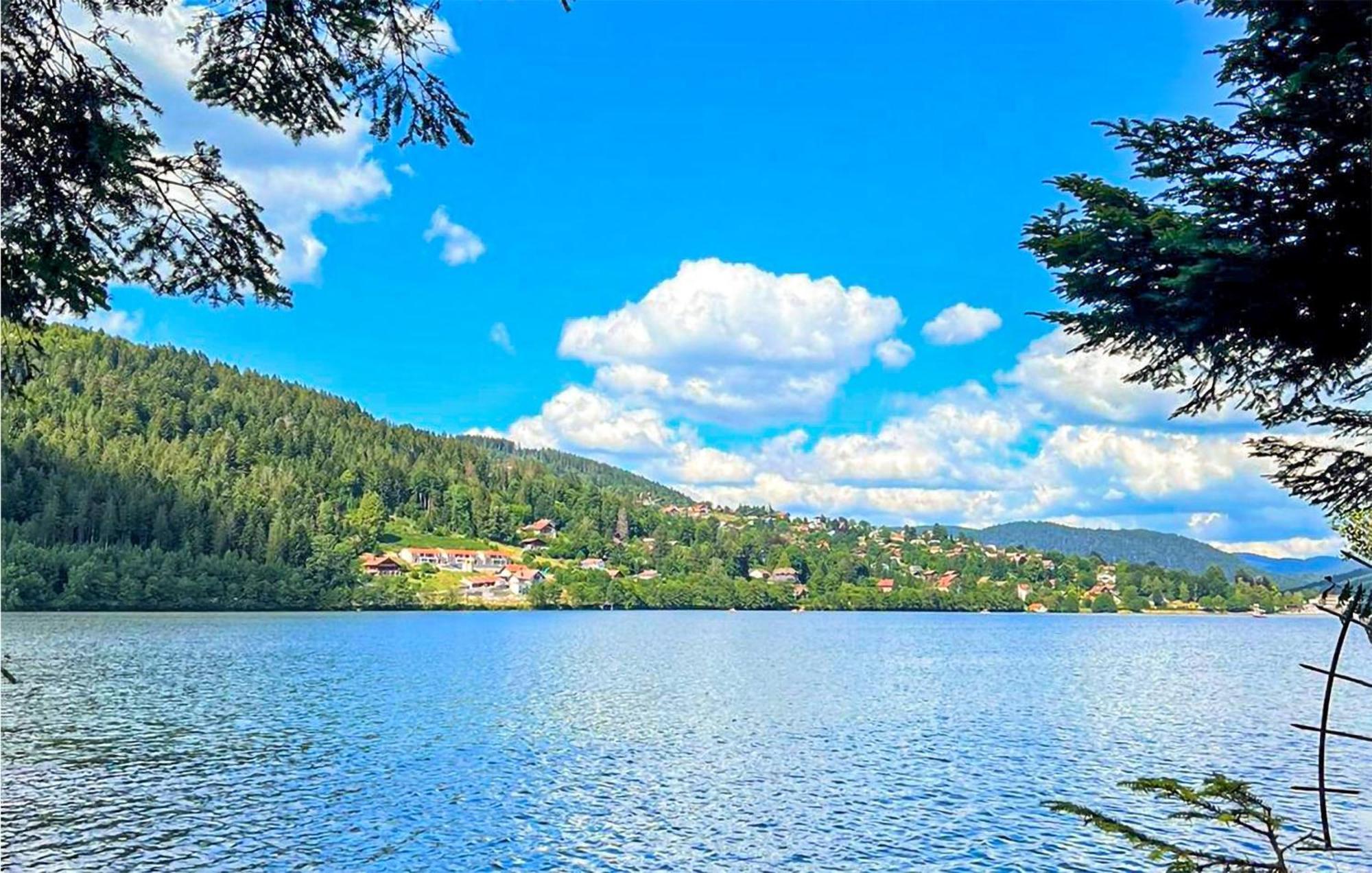 Gorgeous Apartment In Gerardmer With Kitchen ภายนอก รูปภาพ
